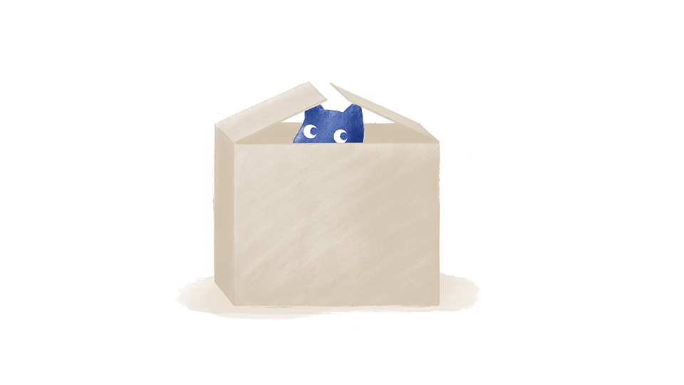 Molly in Box_RGB.png